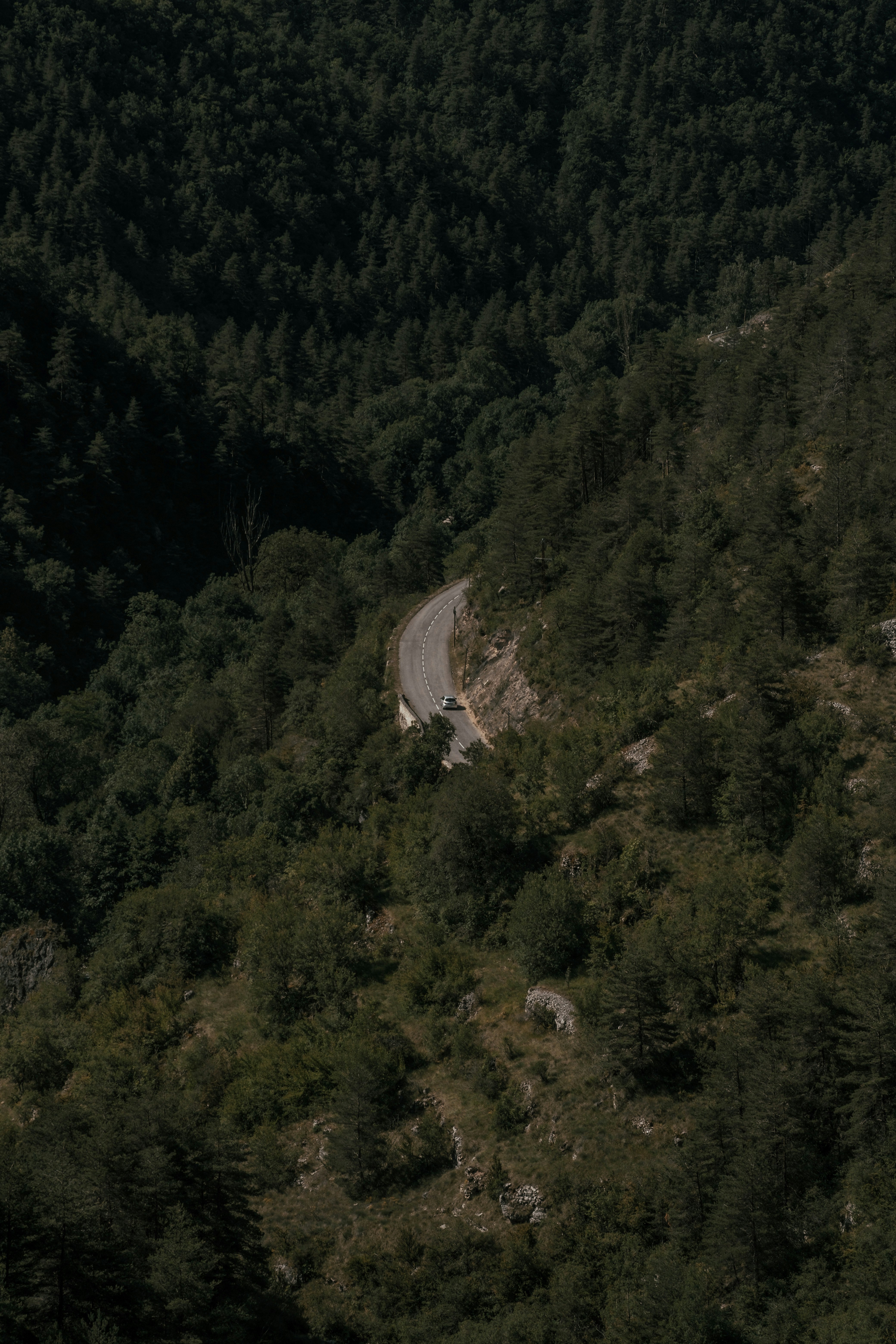 green trees on mountain during daytime